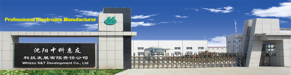 Whizzo Science and Technology Company Gate