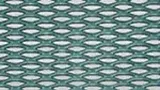 Chlorine evolution anode 1